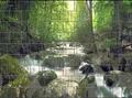 Zaundruck – Sichtschutzstreifen für Doppelstabmattenzaun, Zaunstreifen, Sicht- & Windschutz, wetterfest & UV-beständig, Rolle, PVC frei (Wasserfall)