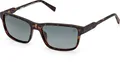 Timberland TB00051 52D dark havana 57/16/145 Herren Sonnenbrillen