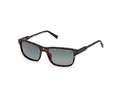 Timberland TB00051 52D  havana 57/16/145 Herren Sonnenbrillen