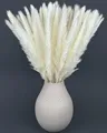 Nina-Maria's Deko Gold Pampasgras Weiß Groß und Klein | 15 Trockenblumen Deko Weiss getrockent für Wohnzimmer & Flur | Boho Trockenblumenstrauß | Getrocknete Gräser, Kunstblumen & Pampas für Vase