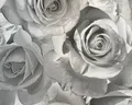 Tapete Rose Glitter Blüten grau silber Wandtapete Wohnzimmer Schlafzimmer Rosen