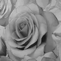 Madison Rose Glitzer Blumen Tapete Grau Silber - Muriva 139520 Sparkle