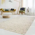 Gewalkter Handweb-Teppich Lambrecht aus hochwertiger Schurwolle edel und aufwendig verarbeitet fürs Wohnzimmer, Eszimmer, Schlafzimmer und die Küche geeignet 63 Grau Beige meliert 170 x 230 cm