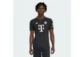 adidas Performance Fußballtrikot FC BAYERN MÜNCHEN 25/26 AUSWEICHTRIKOT (1-tlg)
