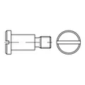 Reyher  Flachkopfschrauben DIN 923 4.8/5.8 M 8 x 8 (100 Stück)