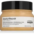 L’Oréal Paris Serie Expert Absolute Repair, Frauen, beschädigtes Haar, Stumpfes Haar, Alle Farben, 250 ml, Reparatur, Glanz, Weichmachend, Topf