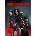 The Walking Dead - Staffel 10 (uncut) [6 DVDs]