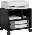 Woltu Aktenschrank (1-St) Druckertisch mit Rädern, ürocontainer rollbar