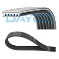 DAYCO Keilrippenriemen passend für Seat Arosa VW Lupo Focus II Turnier