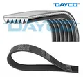 Keilrippenriemen DAYCO 6pk1520 für Ford C-Max Focus C-Max VW