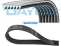 DAYCO 6PK1520 Keilrippenriemen Keilriemen für Ford für Seat für Skoda für VW