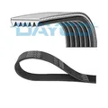 Dayco 6pk1520 Keilrippenriemen für Seat Arosa Skoda Octavia I VW Lupo Ford C-Max