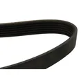 Keilrippenriemen DAYCO 6PK1520