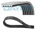 DAYCO (6PK1520) Keilriemen, Keilrippenriemen für FORD SEAT SKODA VW