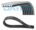 DAYCO 6PK1520 Keilrippenriemen für FORD,SEAT,SKODA,VW