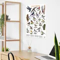Großes Vogel Poster in Matt Wandbild Heimische Wildvögel Wand Deko Natur Thema