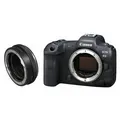 Canon EOS R5 GehÃ¤use + Canon Objektivadapter (mit Steuerungsring)