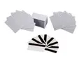 Zebra Premier Plus - Polyvinylchlorid (PVC) - 100 Karte(n) Karten (Packung mit 5) (104524-101)