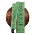 Schwarzkopf Igora Zero Amm 6-6 Dunkles Schokoladenblond 60ml