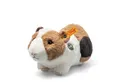 Steiff Kuscheltier Steiff Meerschweinchen Dalle 22 cm mit Quitscher 074547
