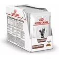 Royal Canin Vet Gastro Intestinal Feline - Beutel Für Katzen Mit Magen-darm-problemen