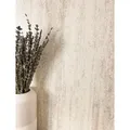 Newroom Vliestapete, Beige Tapete Modern Unifarbe - Glanztapete Universal Rose Creme Uni Glamour Struktur Metallic für Wohnzimmer Schlafzimmer Küche beige
