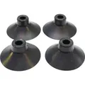 suction cup