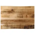 vidaXL Tischplatte, Holzplatte für Tisch Esstisch Couchtisch, Massivholzplatte Baumkante, Ersatztischplatte, 50x40x2,5cm Raues Mango Massivholz