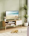 TV-Schrank, Lowboard, Fernsehschrank für Fernseher bis zu 55 Zoll, LTVDE120N01