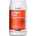 COLLAGEN PULVER Kollagen Hydrolysat Peptide Rind, 480 g PZN 15266086