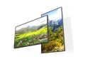 DynaScan DS552LT5 55" Digital Signage Display 1000024611