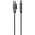 Belkin USB A - USB B (1.80 m, USB 2.0) (F3U154BT1.8M)