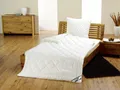 fan Frankenstolz kbA Vierjahreszeiten-Steppbett 155x220cm