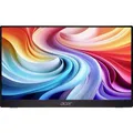 Acer PM161QB1b LCD-Monitor EEK D (A - G) 39.6 cm (15.6 Zoll) 1920 x 1080 Pixel 16:9 4 ms HDMI, USB IPS LCD