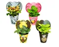 Exotenherz Zimmerpflanze lustiges Zimmerpflanzen Set Animals 4 Pflanzen mit Tieren
