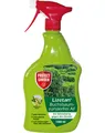 Protect Lizetan Buchsbaumzünzlerfrei AF 1l