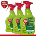 Protect Garden 3 x 1 l Lizetan® Buchsbaumzünslerfrei AF