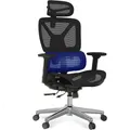 Ergonomischer Bürostuhl ErgoX mit höhenverstellbarem Sitz, schwarz - B