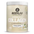 Bodylab24 Hydrolised Collagen Vanille 400g, 98% Kollagen-Hydrolysat, 9,2g Eiweiß je Tagesdosis, unter 1g Fett und Kohlenhydrate, ideal zum Einrühren in Kalt- und Heißgetränke