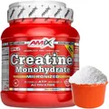 AMIX CREATIN MONOHYDRAT 300g mikronisiert 100 Portionen
