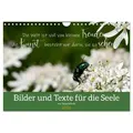 Bilder und Texte für die Seele (Wandkalender 2026 DIN A4 quer) CALVENDO Monatskalender von Tanja Schultz Fotografie/ Calvendo / Calvendo / Kalender