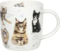 KÖNITZ 1172752866 Becher Natures Diversity - KATZEN 400 ml aus Bone China Por...