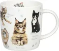 Könitz Tasse Natures Diversity Katzen Form: Franz 0,35 L Porzellan