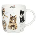 Könitz Becher Natures Diversity - Katzen Tasse Kaffeetassen New Bone Bunt 400ml