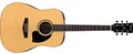 Ibanez Performance Series PF15-NT - Full Size Acoustic Guitar - Natural High Gloss,Full Acoustic