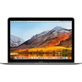 Apple MacBook 12' (Retina Display) 1.3 GHz Intel Core i5 8 GB RAM 512 GB - Grau