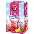 TEEKANNE Frio Koffeinfrei Tee Himbeere, Zitrone 18 Stück à 2.5 g