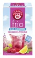 TEEKANNE Wasserbar Teekanne 6939 frio® Himbeer-Zitrone - 18 Beutel