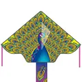 Ecoline Simple Flyer 120 Kinderdrachen Flugdrachen Einleiner Drachen zum steigen Lassen wenig Wind ab 5 Jahre 75x120cm+1.5m Drachenschwanz 17kp Polyesterschnur 25m auf Griff 2-5 Bft (Peacock)