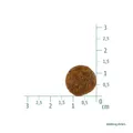 Hundefutter vegetarisch 1kg Erbse Tapioka Kürbis Christopherus